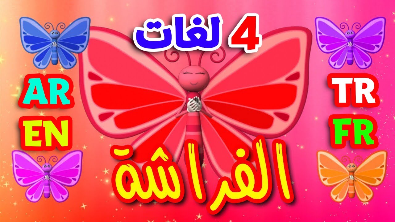 الفراشة باللغات الأربع ( العربية - الإنجليزية - التركية - الفرنسية ) | طيور بيبي Toyor Baby