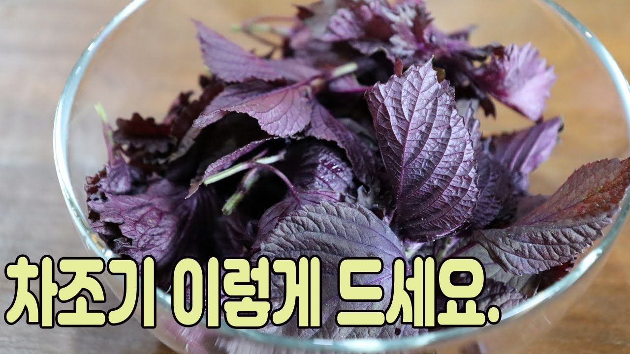 차조기, 자소엽 음료수로 만들어 드세요.