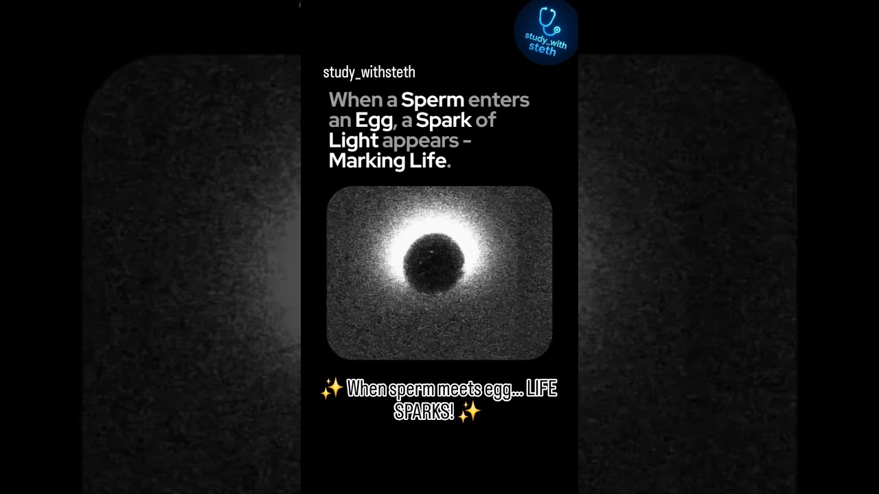 Real Footage of the Spark of Life 🔬  #MedicalWonders#ZincSpark #SparkOfLife #mbbs #fmg