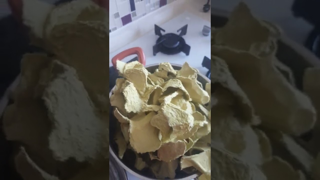 Yumurta kartonuyla mantar besiyeri nasıl hazırlanır mantar dokusu üzerine  nasıl taşınır.(ADIM 1.