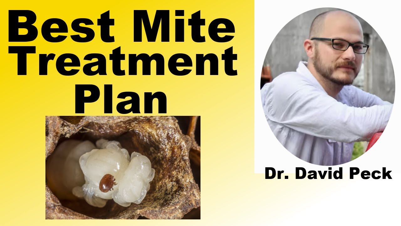 Beekeeping Treatment Plan with Dr. David Peck