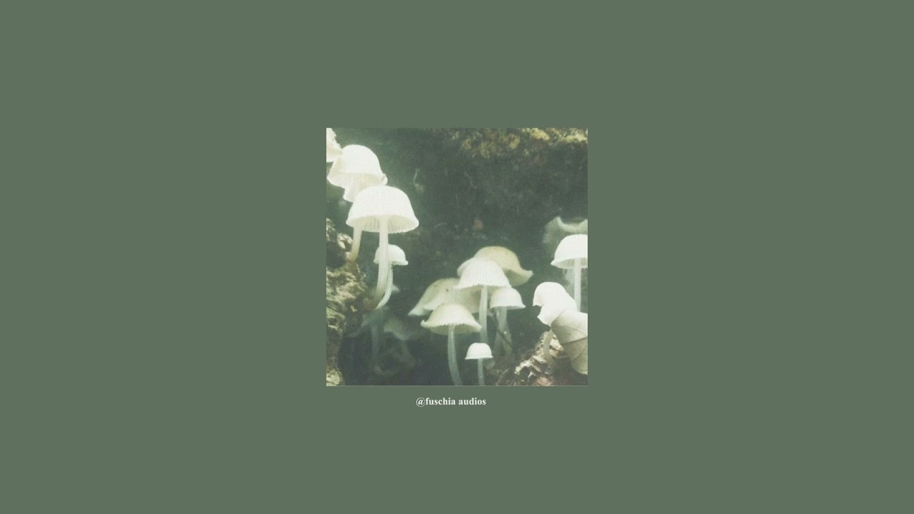love4eva (feat. grimes) - loona/yxyy (slowed + reverb)