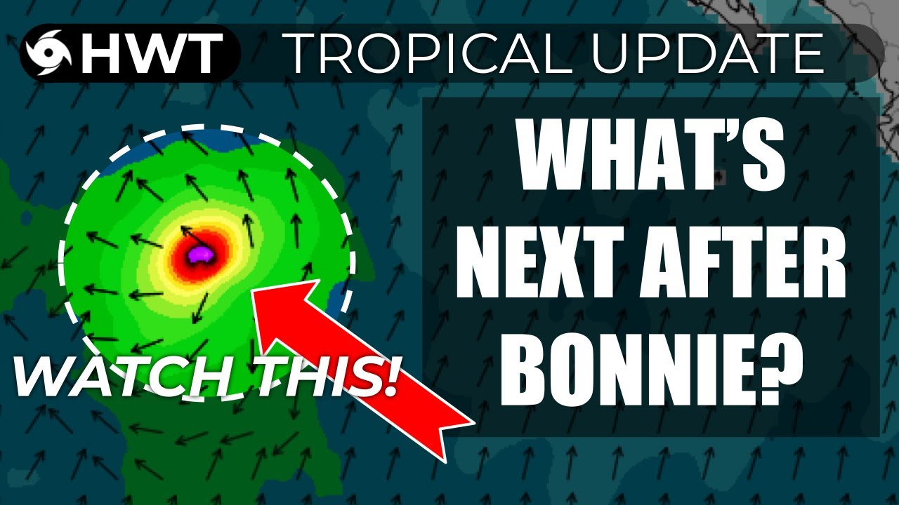 Tropical Update - What's Next After Hurricane Bonnie? - July 7 - HWT
