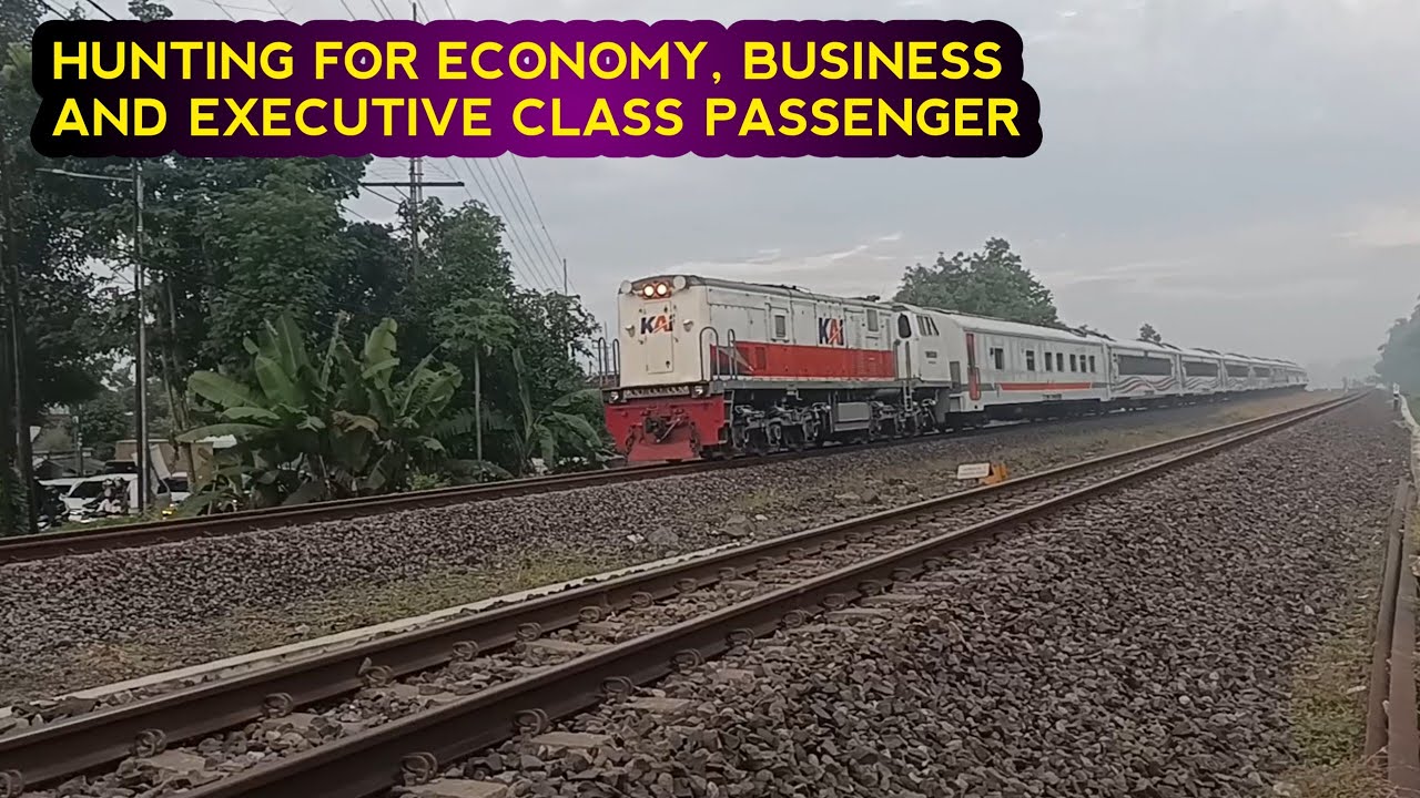 HUNTING FOR ECONOMY, BUSINESS AND EXECUTIVE CLASS PASSENGER TRAIN IN ALL MAJORS
