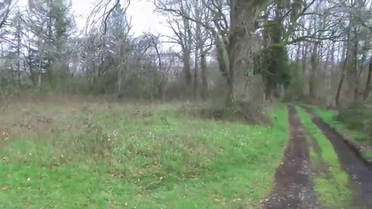 Etangs en vente aux portes de Brive, 165 Forêt Investissement