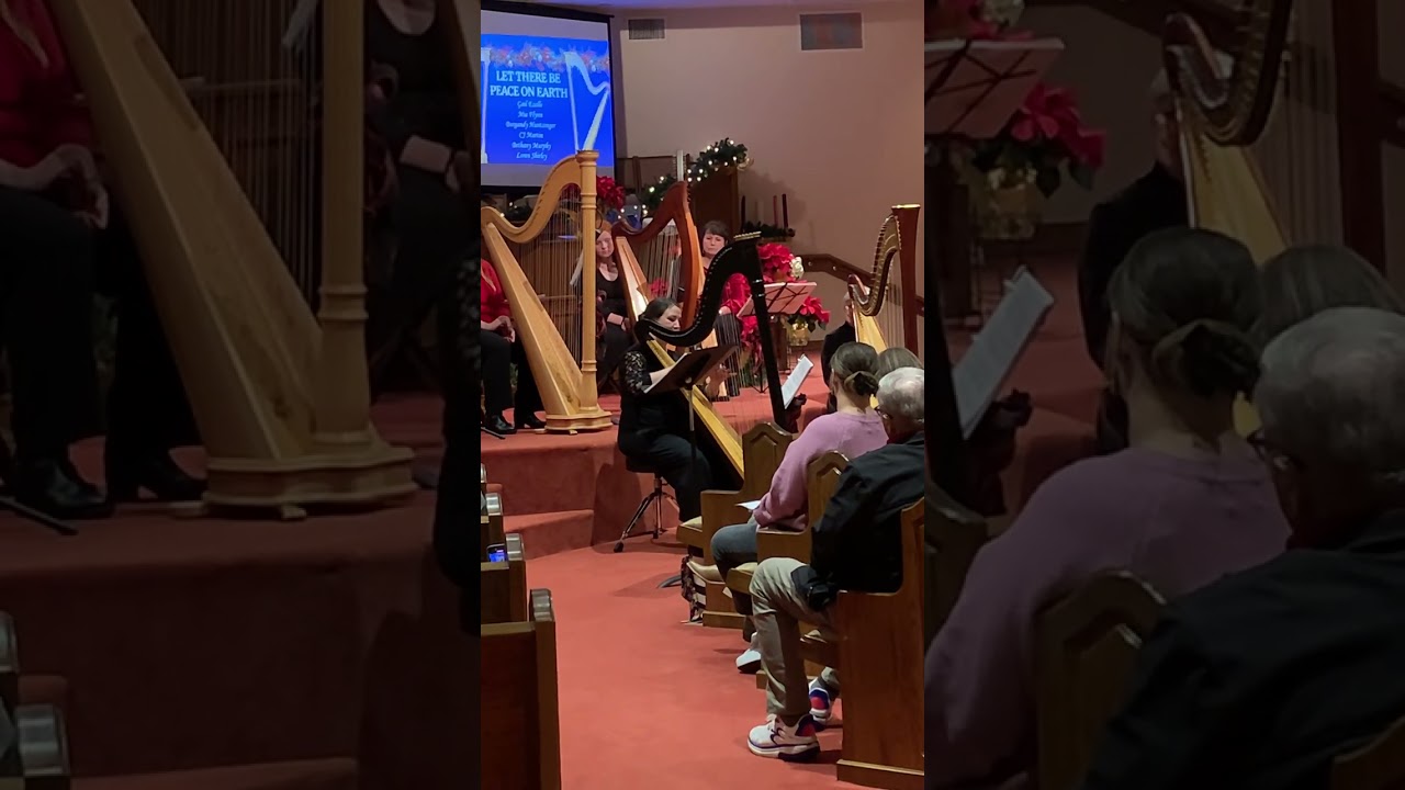 What Child Is This? Greensleeves Harp solo Bethany Murphy