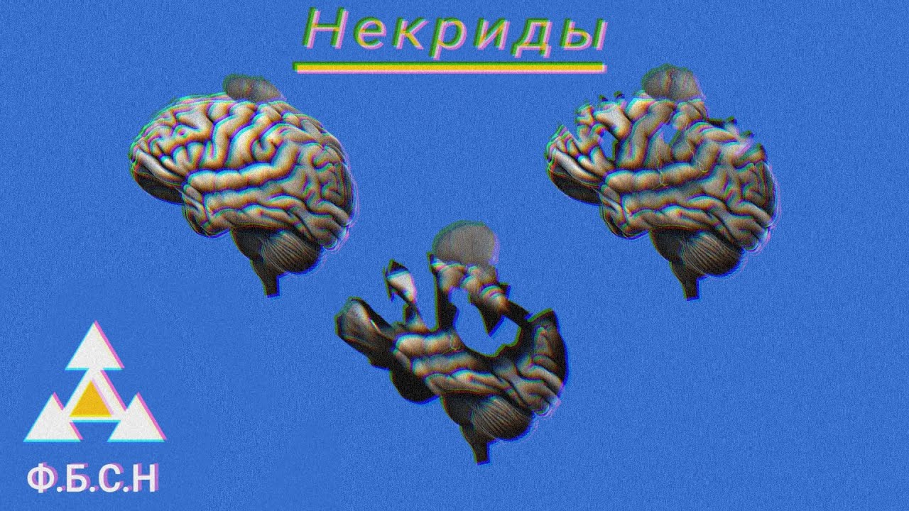 Некрид / Ф.Б.С.Н