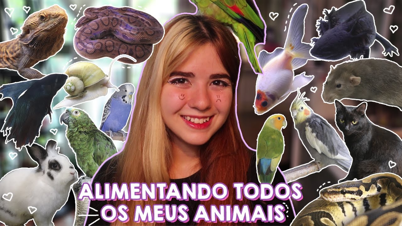 ALIMENTANDO TODOS OS MEUS ANIMAIS (+70) I Alimenta&ccedil;&atilde;o do meu zool&oacute;gico 🦜🐁🐍