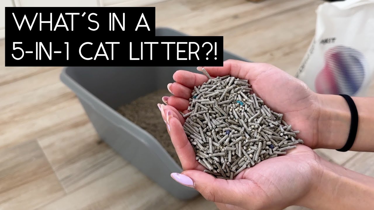PETKIT 5 IN 1 MIXED CAT LITTER REIVEW | SVEN AND ROBBIE