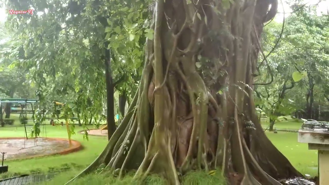Walk Video Heavy Rain NPCIL Kaiga