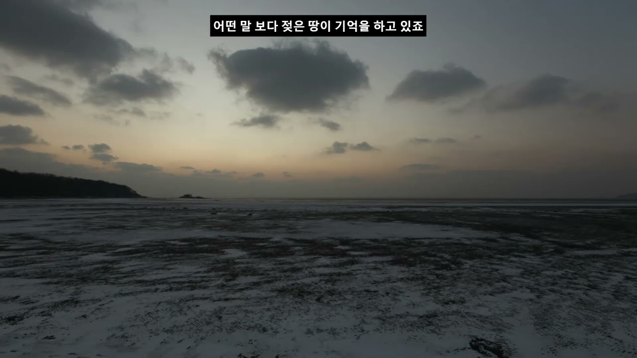 @서해#세노야