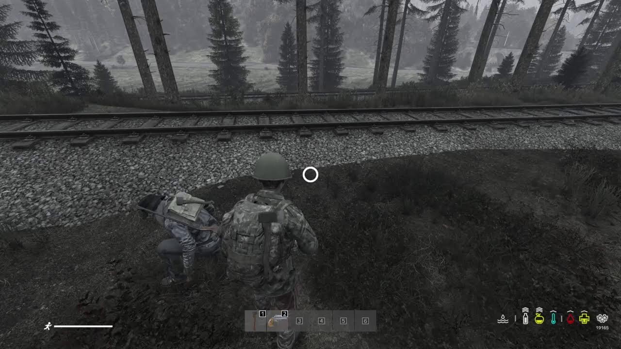DayZ Survival !