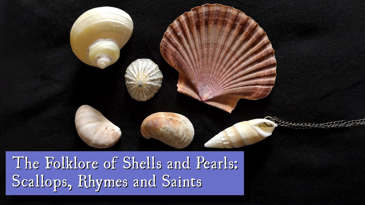 The Folklore of Shells and Pearls: Scallops, Rhymes and Saints