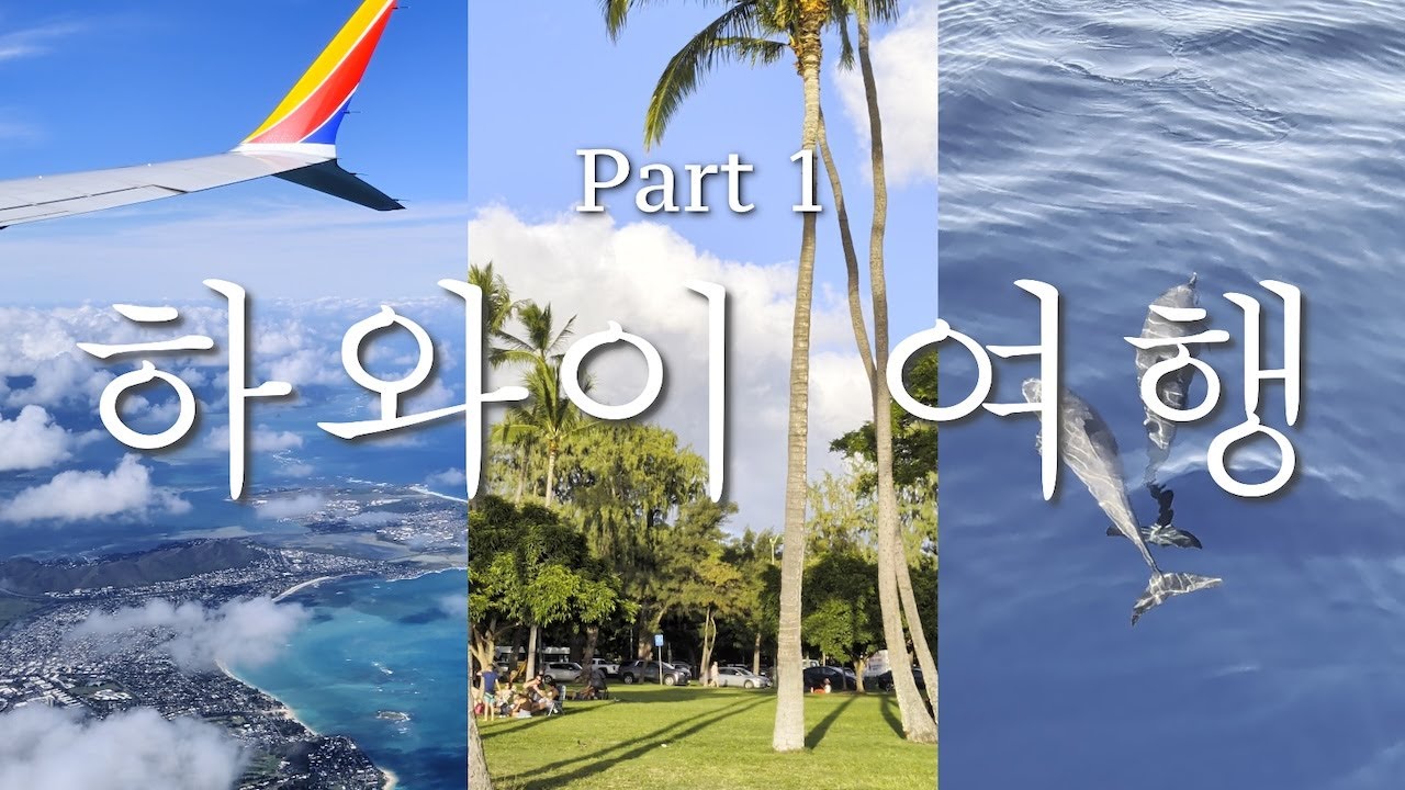 Christmas Week in Hawaii / Oahu / Waikiki