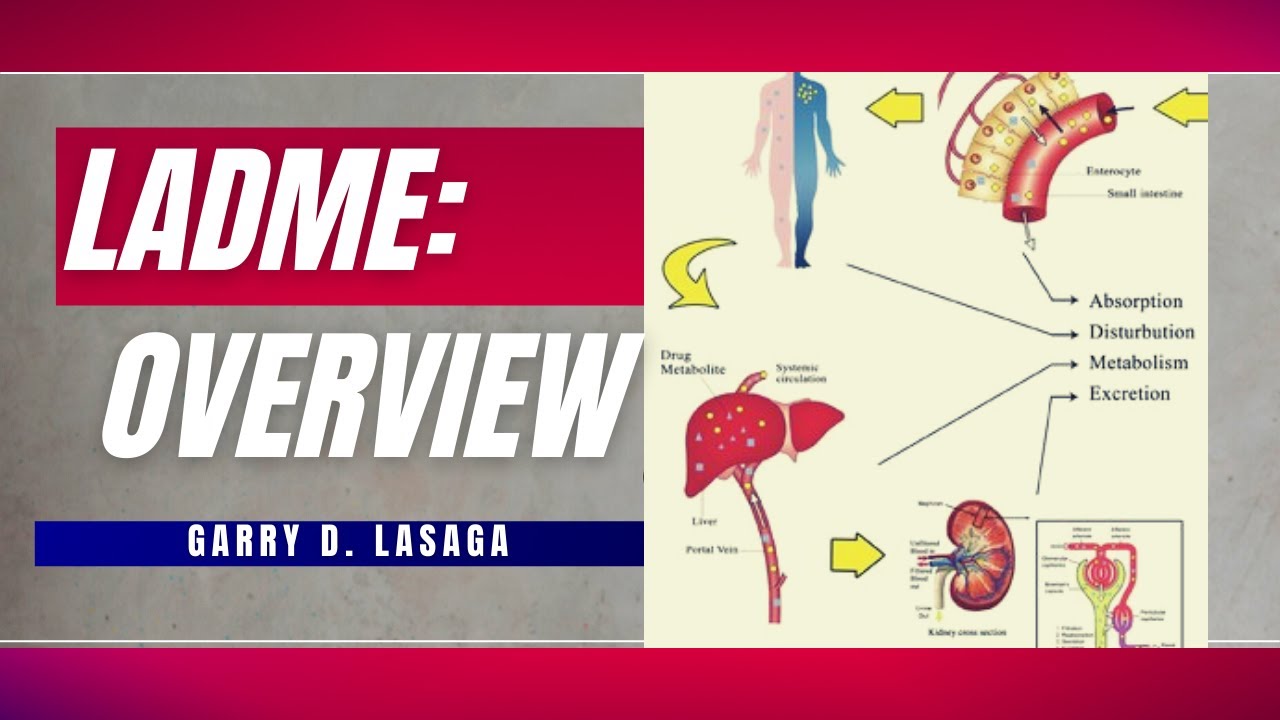 VET PHARMA 1| Overview of LADME (Liberation, Absorption, Distribution, Metabolism, Excretion)