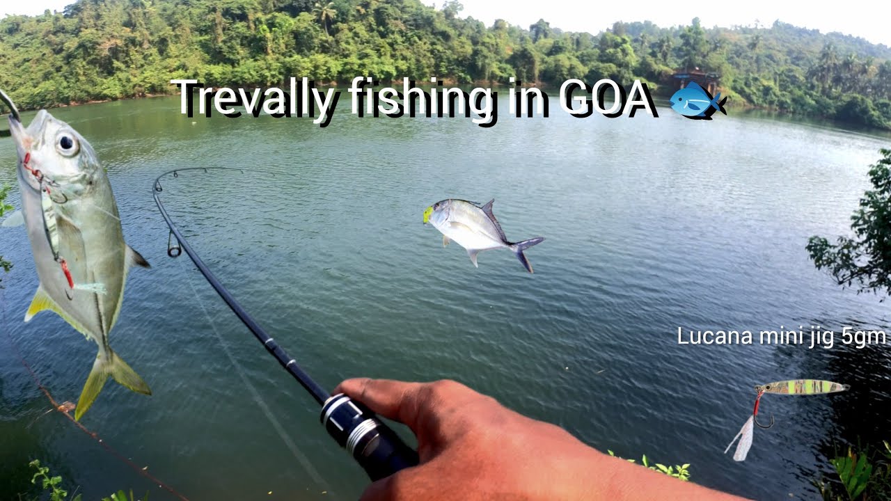 Ultra light fishing in Goa 🐟 || small trevally on lucana mini jig 