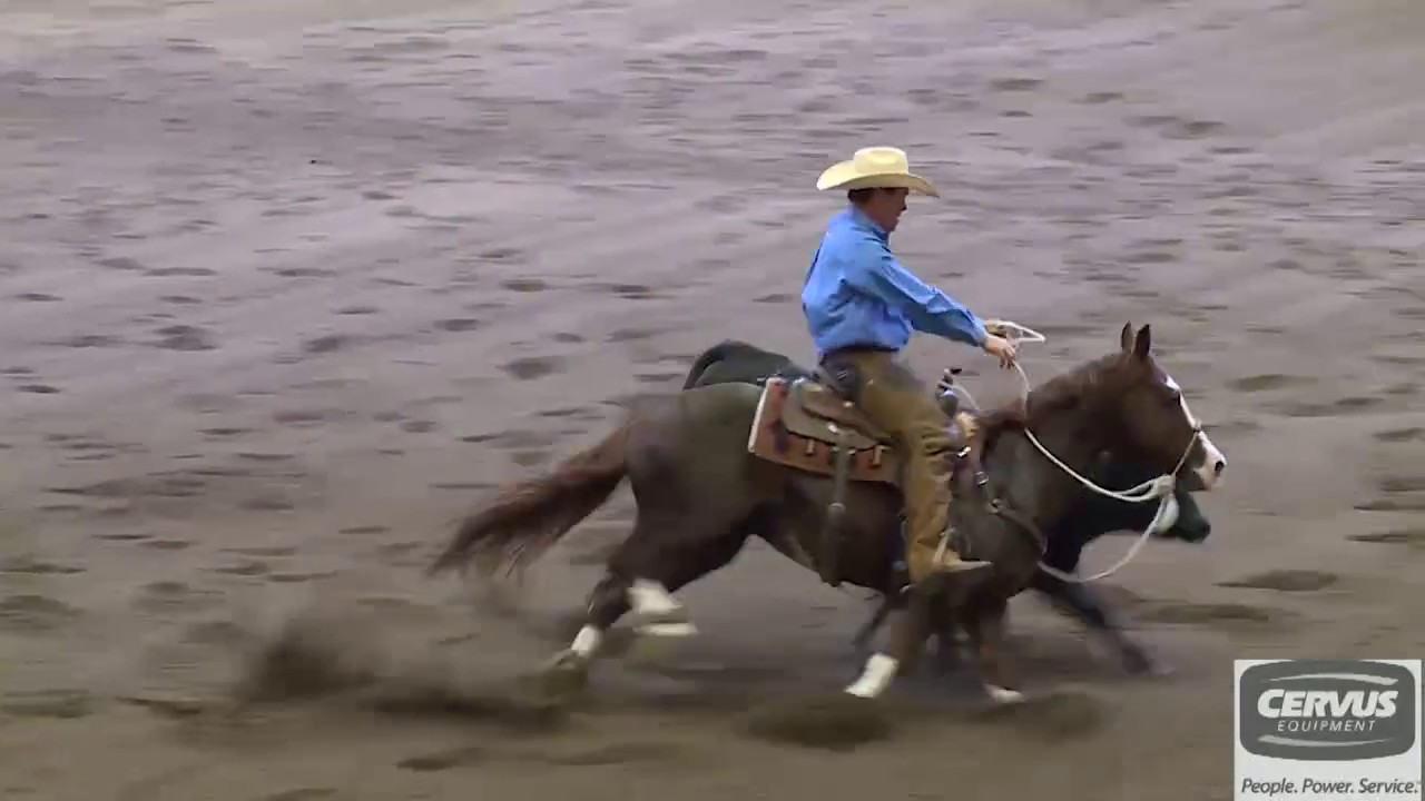 2017 Calgary Stampede Working Cow Horse Classic - Open Hackamore Winner