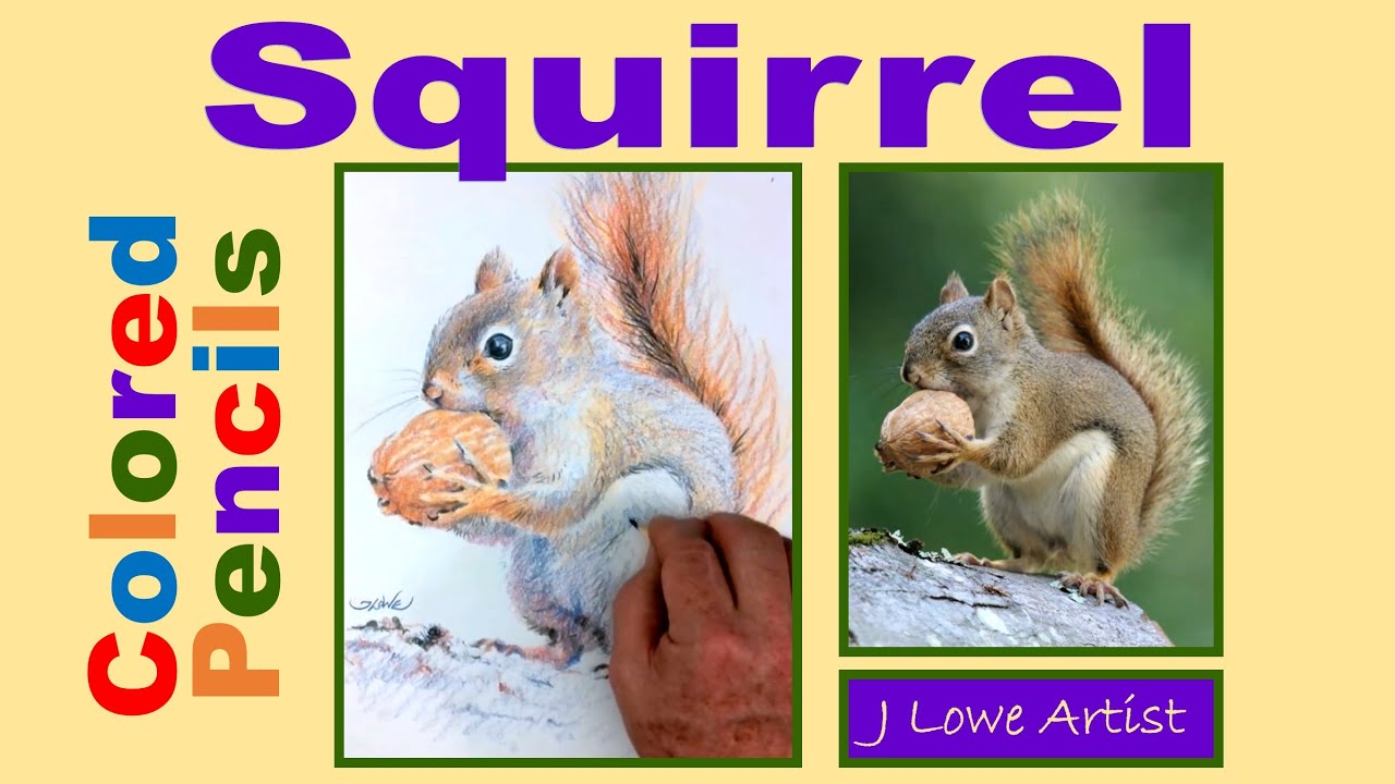 HOW TO DRAW A SQUIRREL WITH COLORED PENCILS Step by Step
