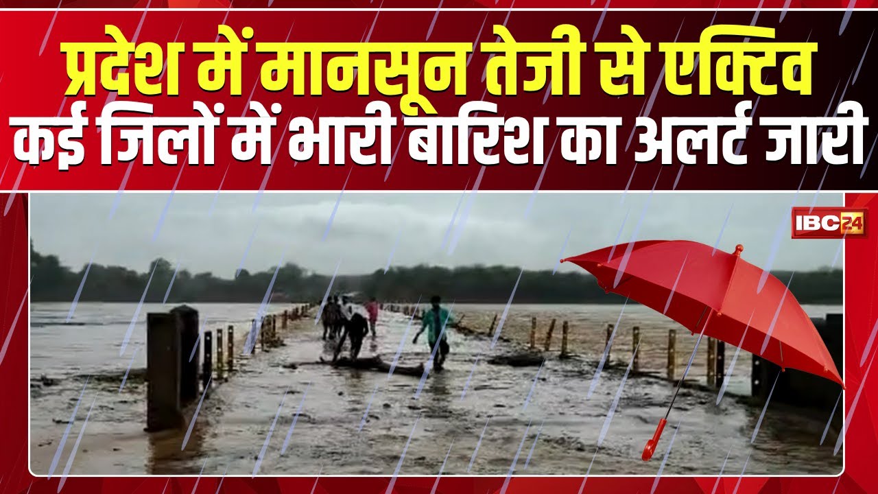 MP Weather Update : मध्यप्रदेश में मानसून तेजी से एक्टिव | IMD ने जारी किया कई जिलों में रेड अलर्ट