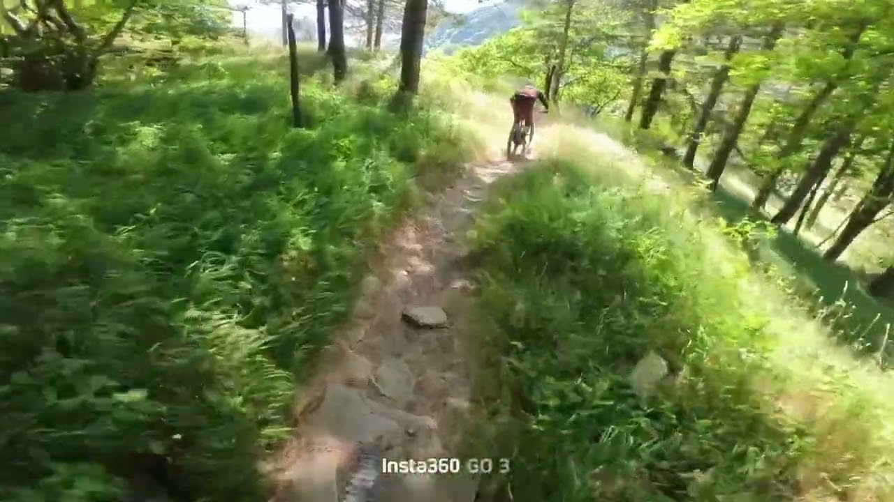 MTB Bagno di Romagna: Chiardovo