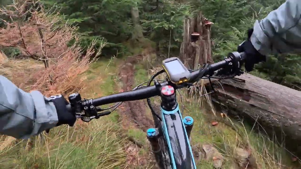 Surfing Hometrails Part 4