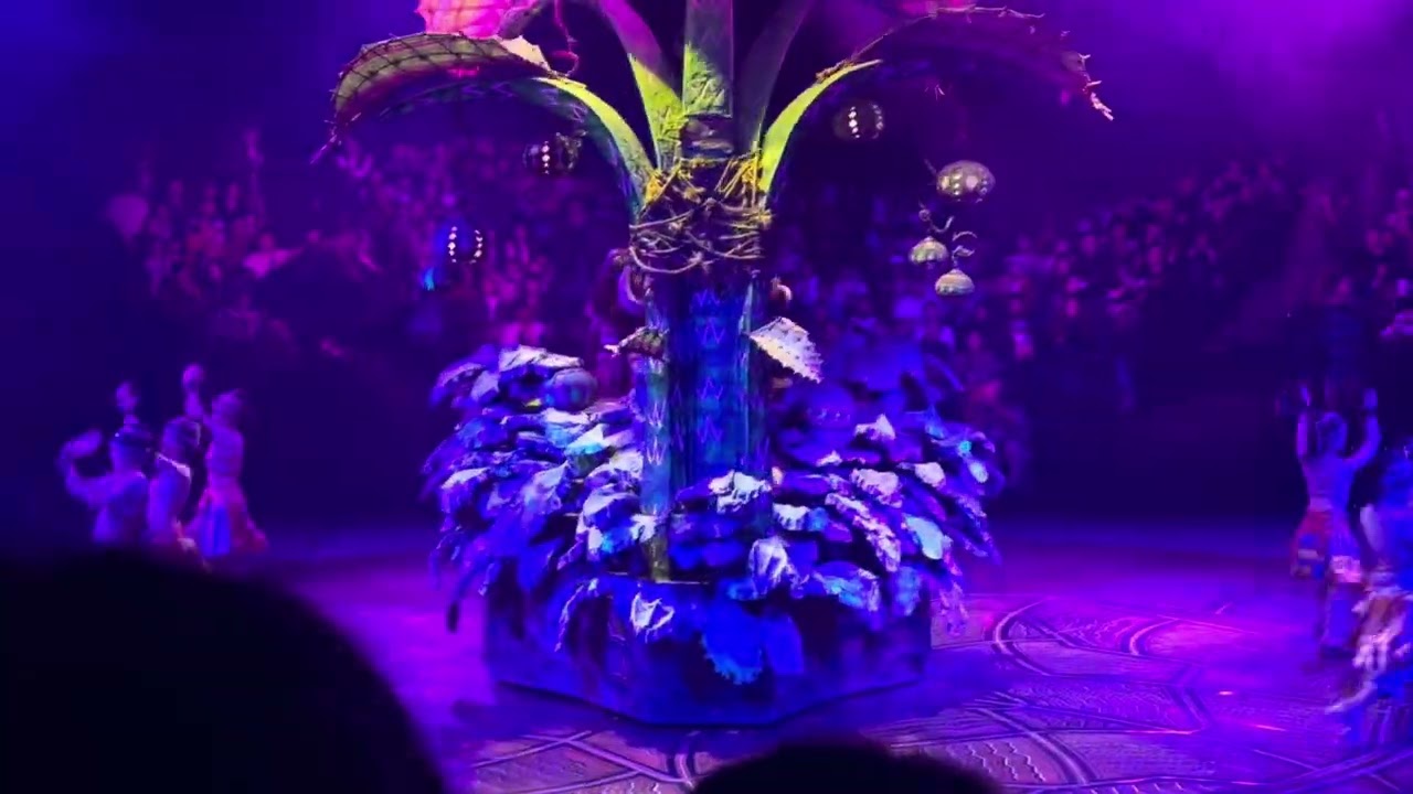 Better than the Abbas Orchard Lion King show! Hakuna matata song