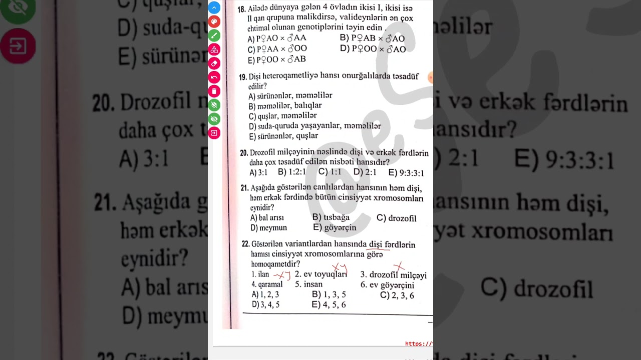 DİM - Cinsiyyətin genetikası