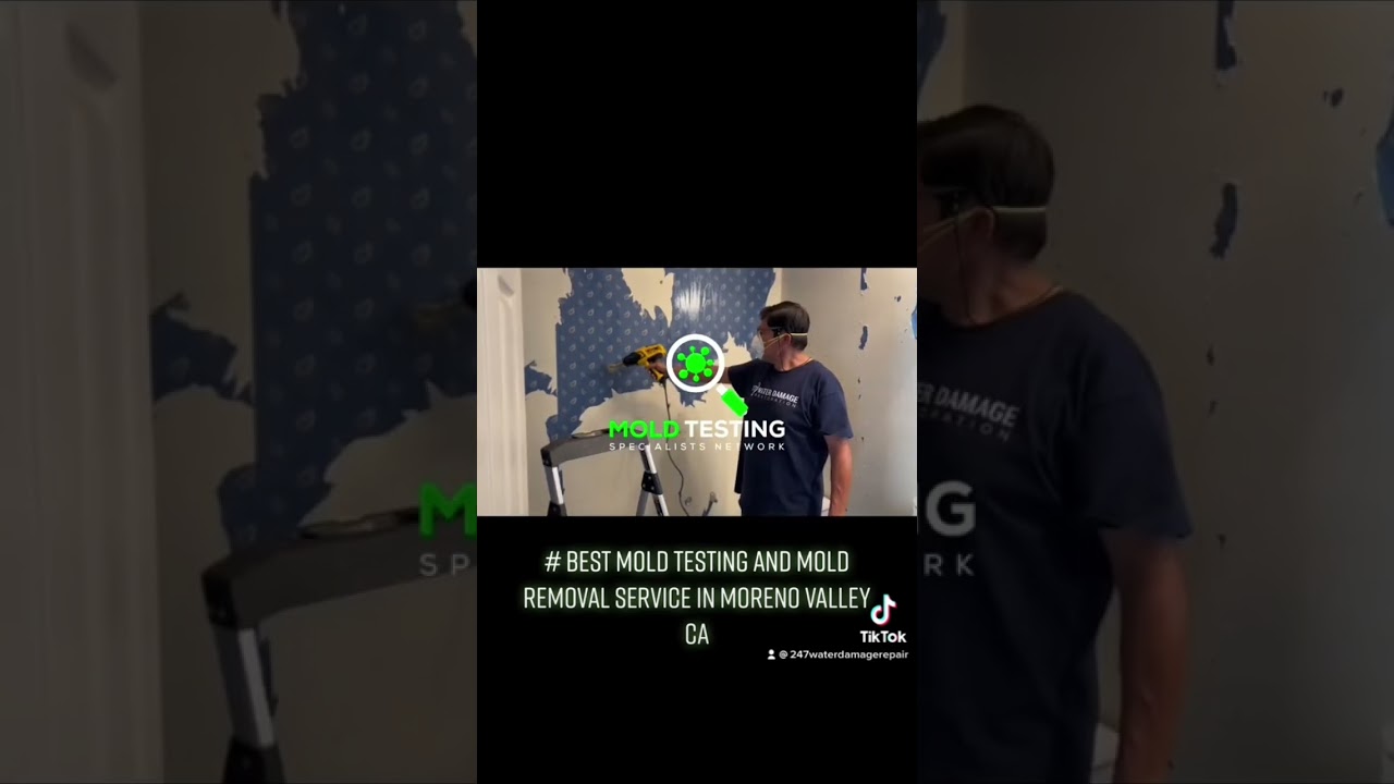 Best Mold Testing and Mold Removal in Moreno Valley.