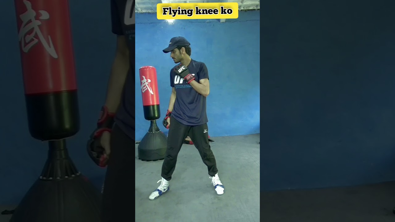 flying knee ko   #flyingknee #fight #fighter #ufc #training #foryou #shortsfeed