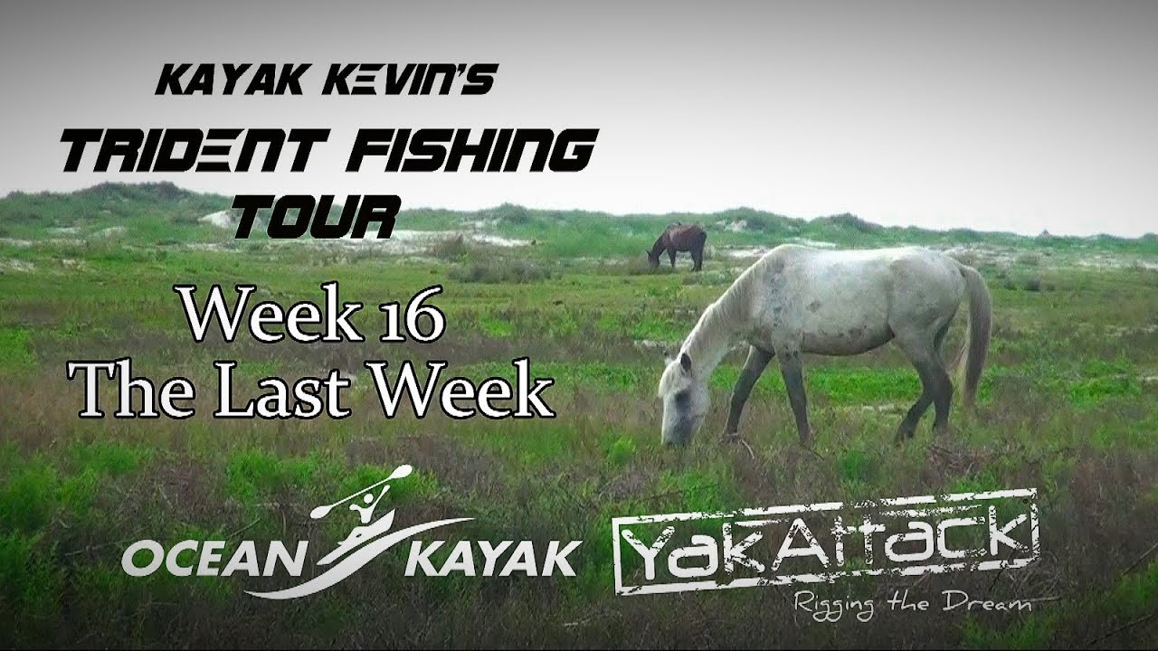 Trident Fishing Tour, Week 16 The last week