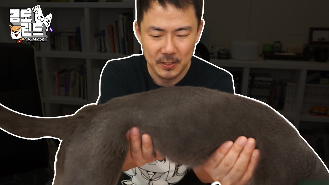 커비와 책상 쟁탈전
