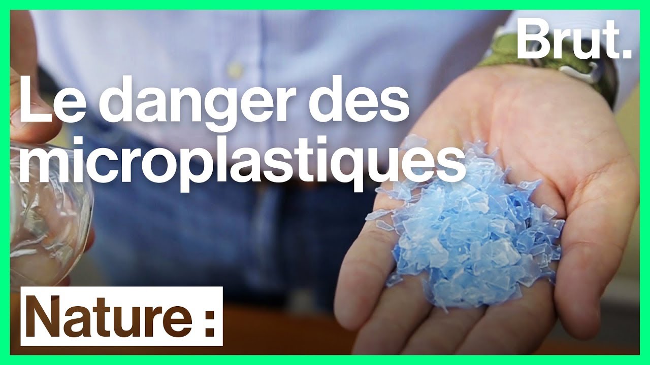 Les scientifiques alertent sur l'omnipr&eacute;sence des microplastiques
