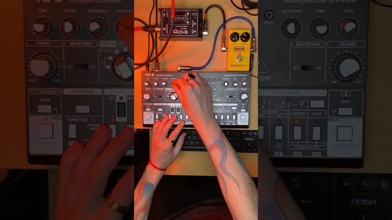 Behringer TD-3 + MXR Distortion + = Acid Heat 🔥