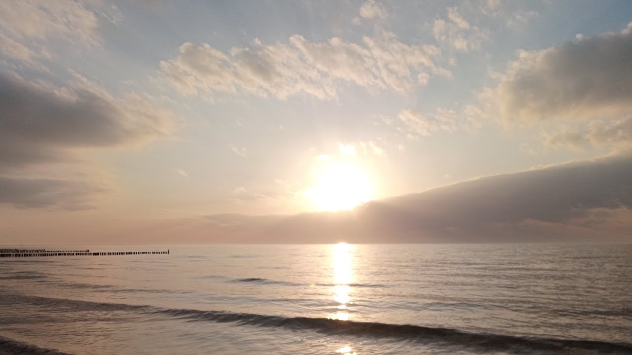 AMAZING👁️🌱☀️🎸🎶