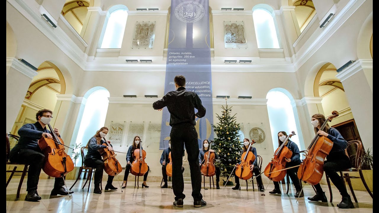 Semmelweis University Christmas Greeting - Silent Night