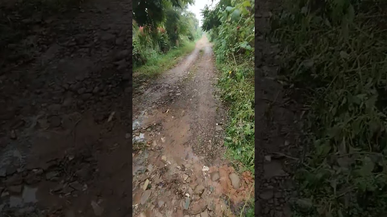 Road to Catigan Mountain Breeze Resort.