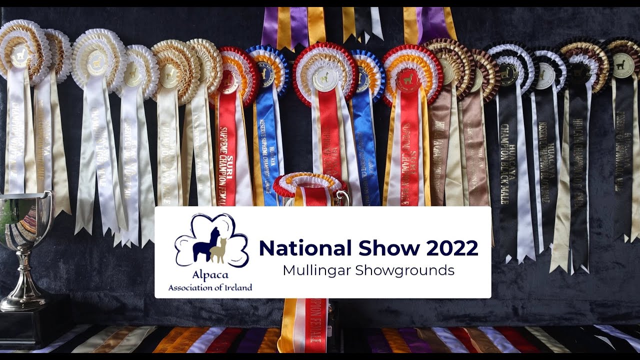 Alpaca National Show 2022 - Ireland