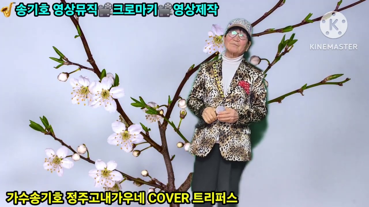 💥2026/1.19.🌺송기호🌺크로마키⚘️영상제작 실에서🎷가수송기호💐정주고내가우네 cover 트리퍼스곡💐