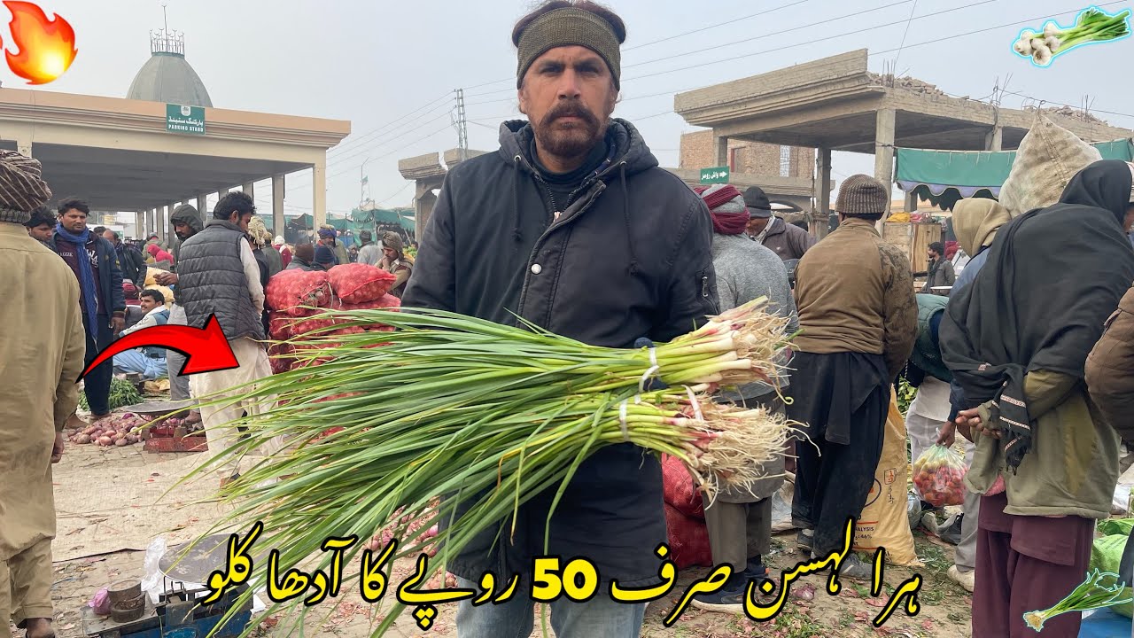 Bahawalpur Sabzi Mandi Main Fresh Harra Lehsun 50 Rupey Ka Adha Kilo 🔥