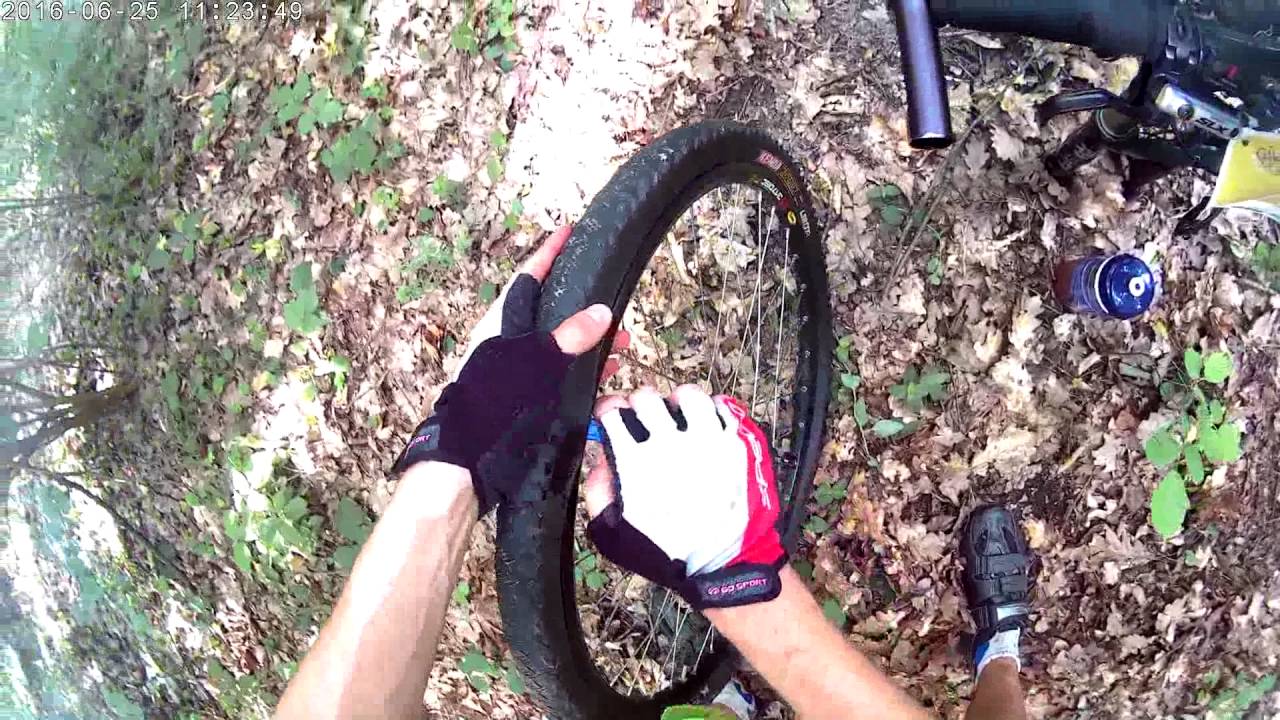 Taraska 2016