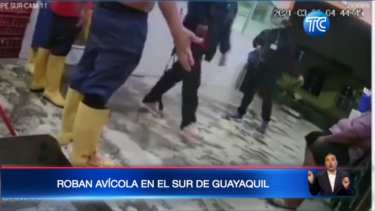 Cámaras graban justo el momento en que sujetos atracan con un fusil una avícola en Guayaquil