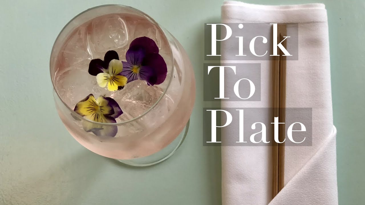 Pick to Plate: Following Edible Flowers from Plant To Restaurants