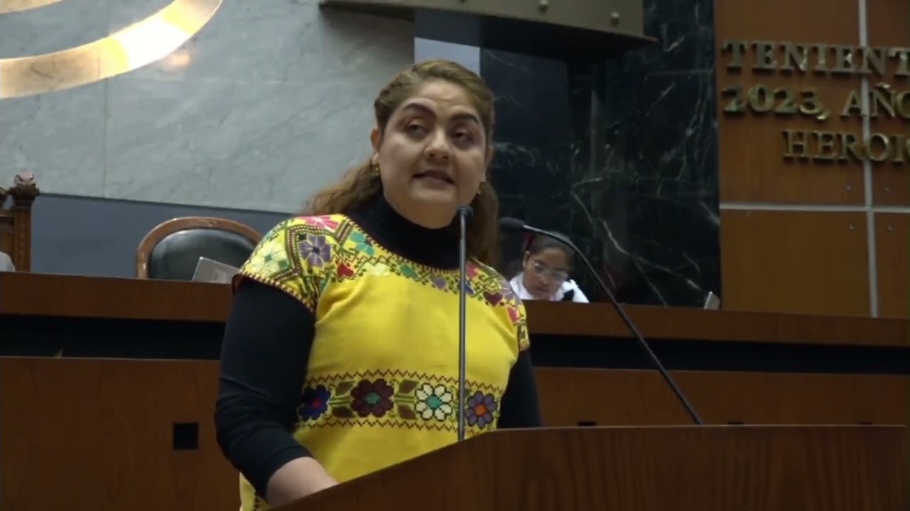Erika Guillén opina sobre la reforma electoral de Sheinbaum