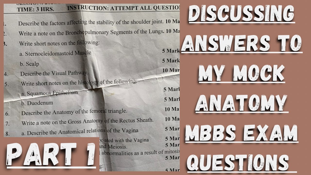 (PART 1) MY MOCK MBBS EXAM ANATOMY QUESTION PAPER||Let's discuss the answers!!