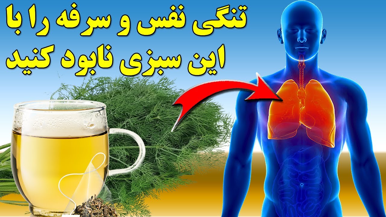 چهارده خاصیت اعجاب آور شوید دردرمان بیماریها amazing properties of Dill in the treatment of diseases