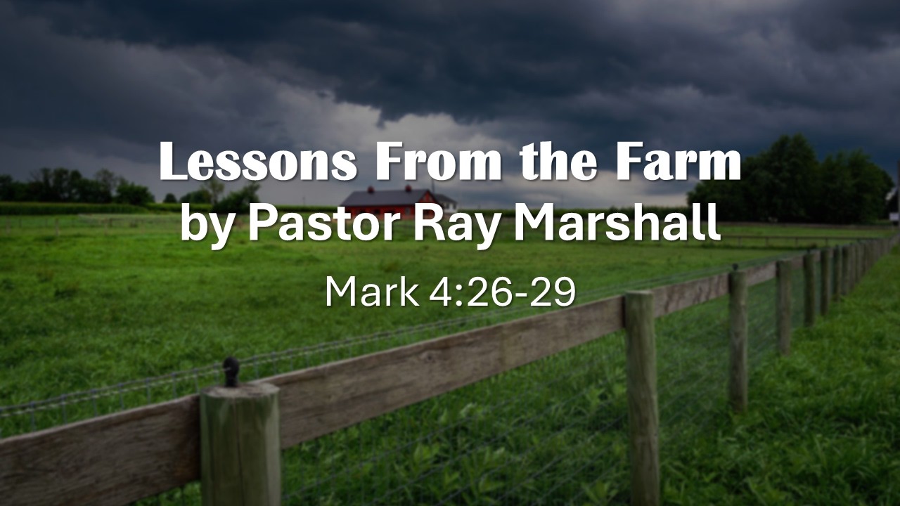 Lessons From the Farm