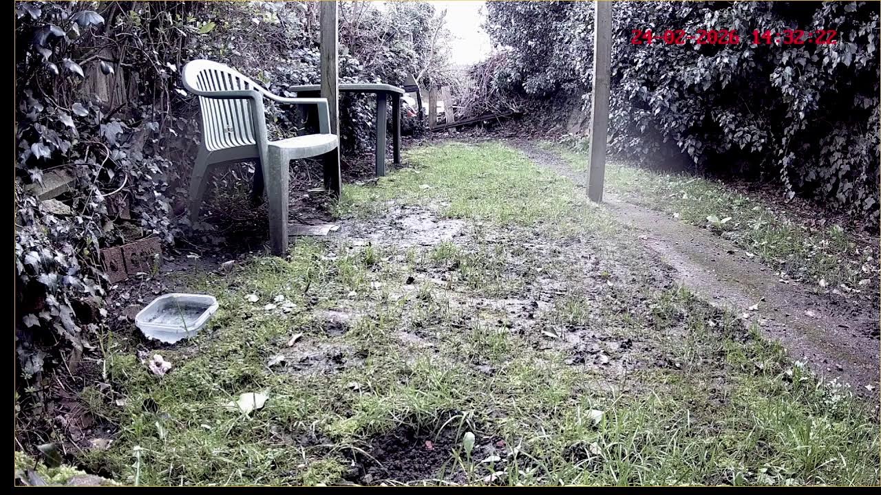 Graham's Nature Watch Channel Live Stream