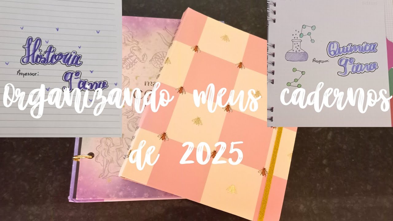 Organizando os meus cadernos de 2025/ideias de capa 📑📚