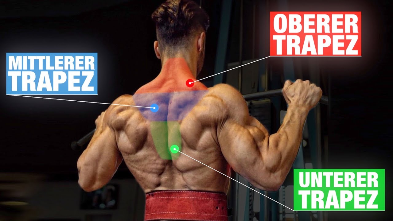 Die 5 BESTEN Nacken Übungen die DU machen musst! | Trapez Trainieren
