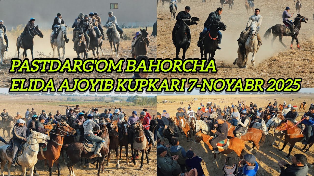 SAMARQAND V PASTDARG'OM TUMANI CHIMBOY BAHORCHA QISHLOG'IDA AJOYIB KUPKARI BULDI